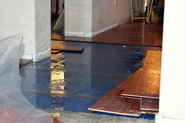 Professional Basement Flood Cleanup technician working in Crystal City, TX